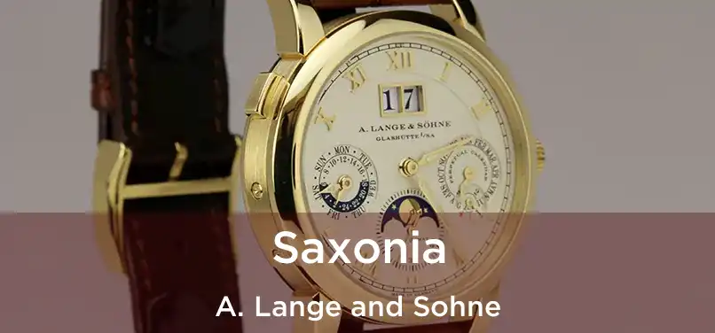  Saxonia A. Lange and Sohne